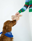 Winnie Lou - Bison Scapula Chews