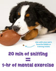 Tough & Tumble™ Treat Dispenser: Fumbling Football