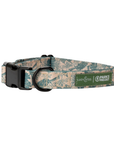 Lucy & Co. - Lucy & Co. x Parks Project Sequoia Seedlings Collar