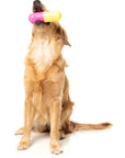 FuzzYard Chill Pill Dog Chew Toy