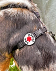 Jiby Dog Crew - Service Dog Badge