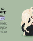 Catphabet : A Cat Alphabet