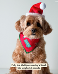 Lucy & Co. - Happy Howlidays Bandana
