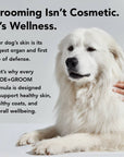 PRIDE+GROOM - THE FLEA+TICK