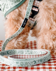 Lucy & Co. - Camp Out Leash: L
