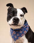 The Paws - Firecrackers 4th of July Dog Bandana