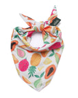 The Paws - Fruity Cooling Dog Bandana