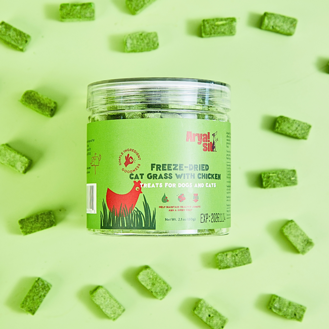 Arya Sit! - Freeze-Dried Cat Grass with Chicken – The Modern Dog