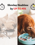 Barks and Brownies - Petite Feeding - Small - Beige