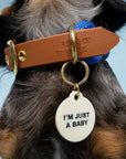 Freshwater Curated Goods™ - I'm Just A Baby Pet Tag