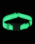 SUNNY TAILS - Lunar Glow Waterproof Dog Collar: SMALL