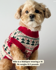 Lucy & Co. - The Let it Snow Sweater