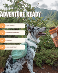 RYŌKEN INSTINCT - Boar Treat & Snack Bar for Active Dogs - Energy & Recovery