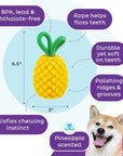 Planet Dog Dental Pineapple Dog Chew Toy Yellow