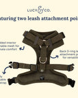 Lucy & Co. - Take a Hike Corduroy No-Pull Harness
