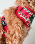 Lucy & Co. - Let it Snow No-Pull Harness