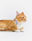 Wild One - Breakaway Cat Collar: XS • Kitten / Retro