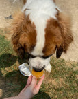 Green Coast Pet Pumpkin Applesauce