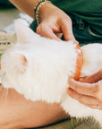 Wondercide Flea & Tick Collar for Dogs + Cats with Natural Essential Oils