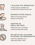 Crumps Plaque Busters - Probiotic Advanced Dental Sticks