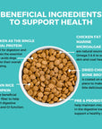 Koha Limited Ingredient Dry Bland Diet Chicken & Brown Rice Recipe with Pumpkin for Dogs