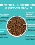 Koha Limited Ingredient Dry Bland Diet Beef & Brown Rice Recipe with Pumpkin for Dogs