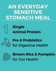 Koha Limited Ingredient Dry Bland Diet Beef & Brown Rice Recipe with Pumpkin for Dogs