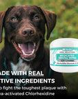 Nootie Dental Antrimicrobial Dental Wipes