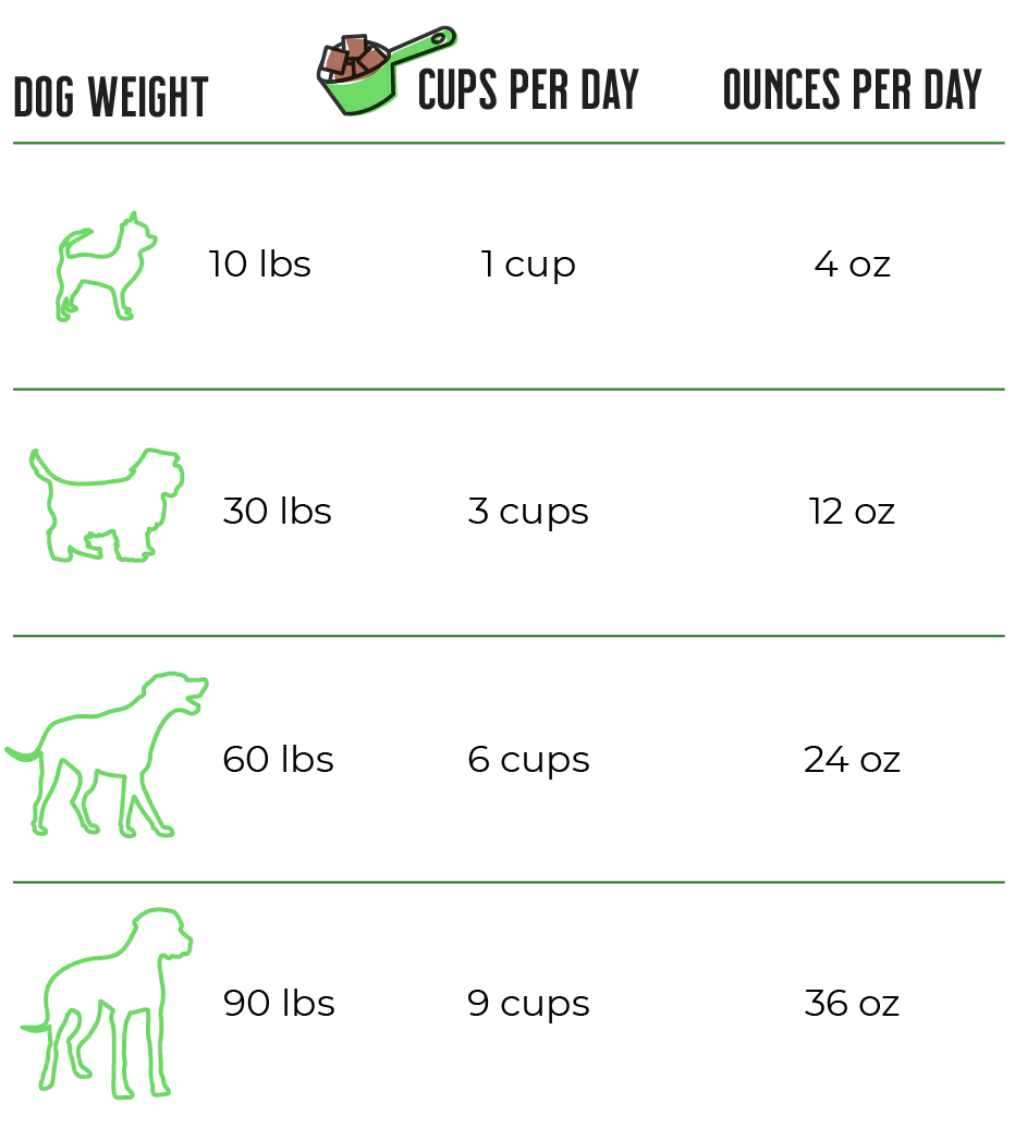 Raw Dynamic FD Raw Turkey Formula