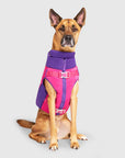 Canada Pooch High Tide Life Jacket