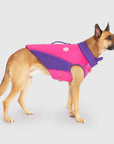Canada Pooch High Tide Life Jacket
