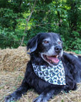 Dog Bandana Co. Skeleton Reversible Dog Bandana