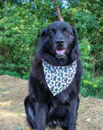 Dog Bandana Co. Skeleton Reversible Dog Bandana