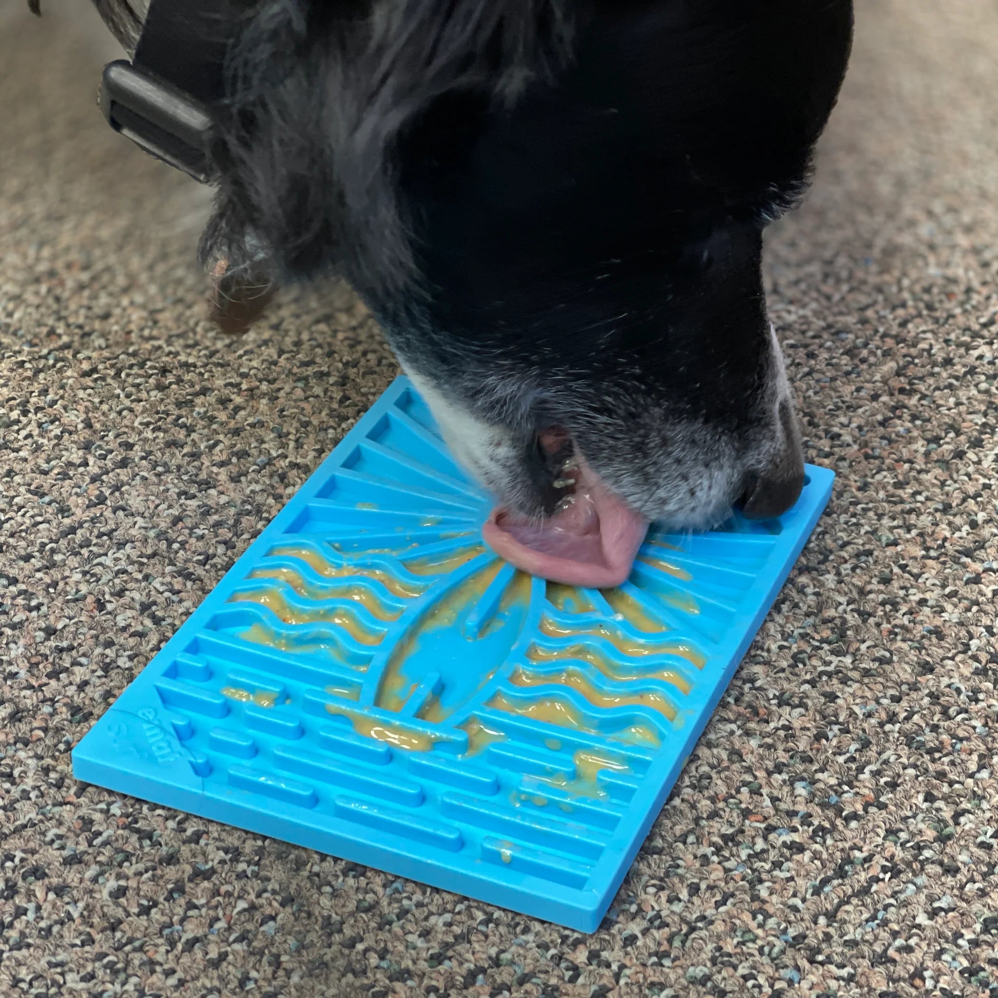 Soda Pup Surf's Up Lick Mat - Small
