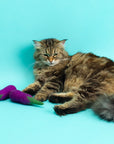 Mimi's Daughters Adventurous Aubergine - Felt Cat Toy