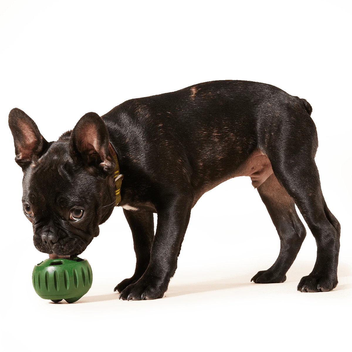 Woof - Beef & Peanut Butter Pupsicle Pops