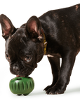 Woof - The Pupsicle