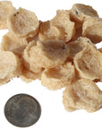 Icelandic+ Cod Mini Fish Chips Treats For Training & Small Dogs