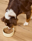 Open Farm Chicken & Pollock Healthy Weight Pâté for Dogs
