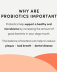Crumps Plaque Busters - Probiotic Advanced Dental Sticks