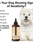Pride + Groom Shampoo - The Sensitive One