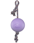 Jolly Pet Romp-N-Roll - Grape