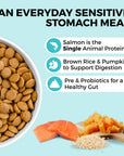 Koha Limited Ingredient Dry Bland Diet Salmon & Brown Rice Recipe with Pumpkin for Dogs (Copy)