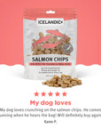 Icelandic+ Dog Treat Salmon Mini Fish Chips 2.5oz