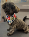 Grooming in Nashville, TN