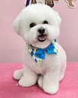 Grooming in Nashville, TN