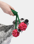 Vetreska Cherry Knot Rope