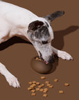 Vetreska Coffee Feeder Toy