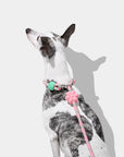 Vetreska Connect Hands-Free Rope Leash - Flora
