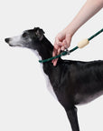 Vetreska Connect Hands-Free Rope Leash - Santal Forest